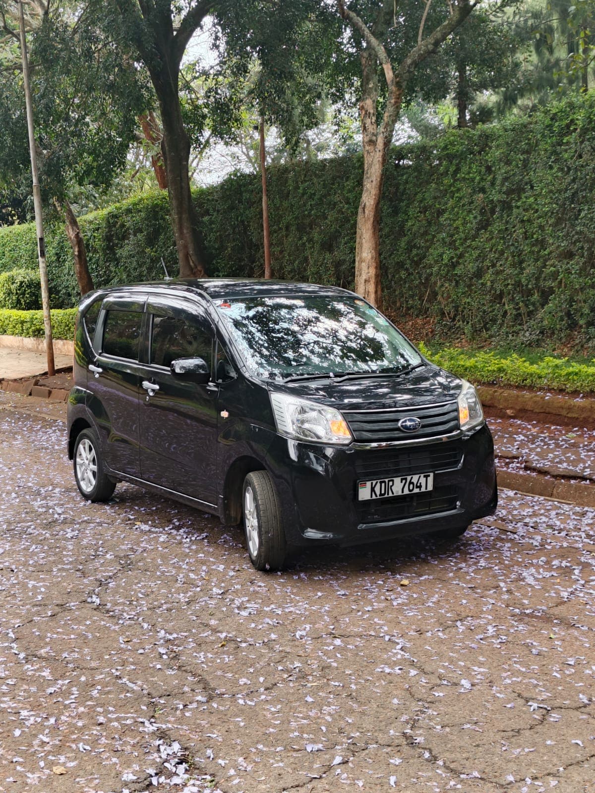 Subaru Stella thumbnail 2