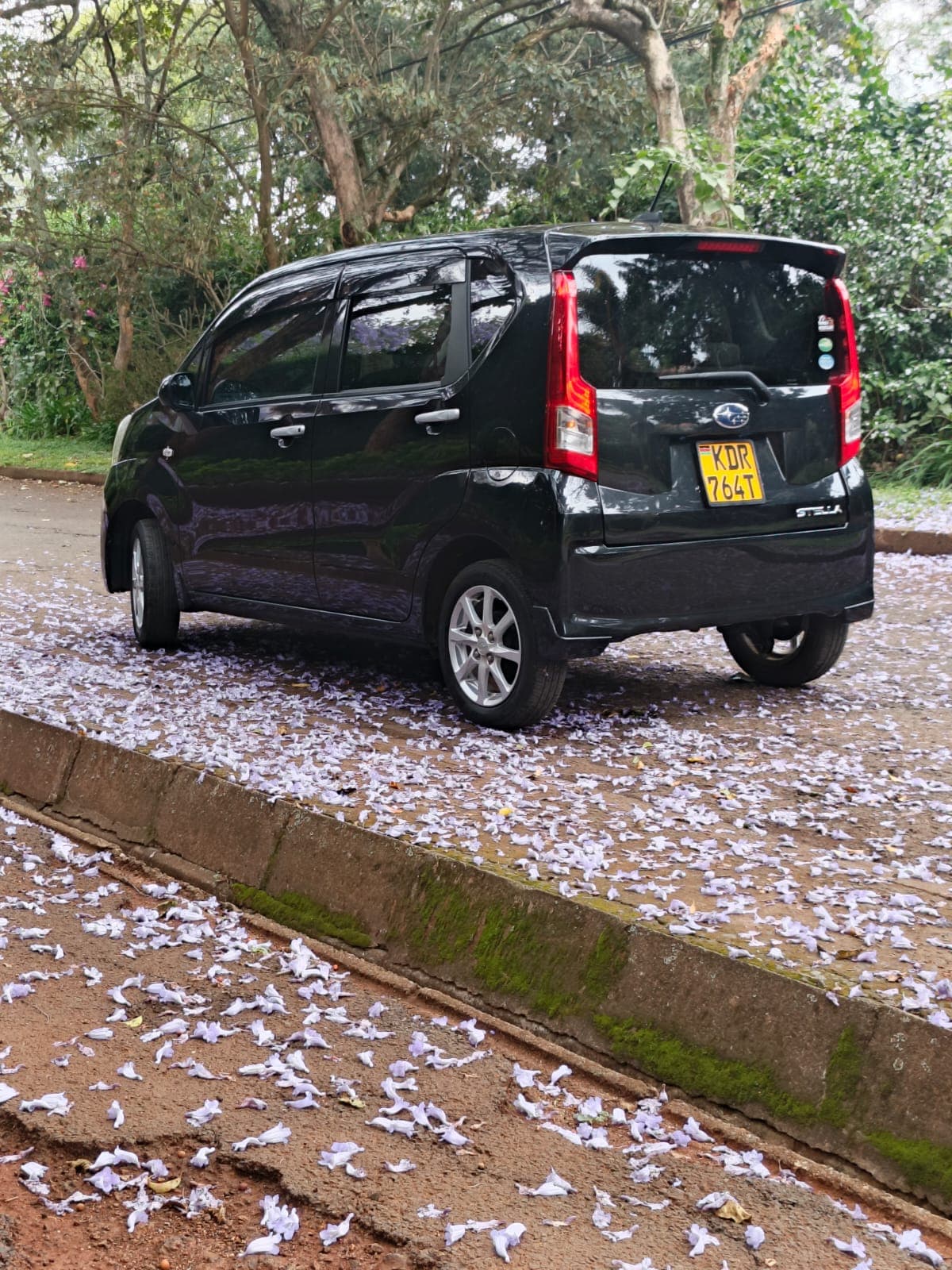 Subaru Stella thumbnail 3